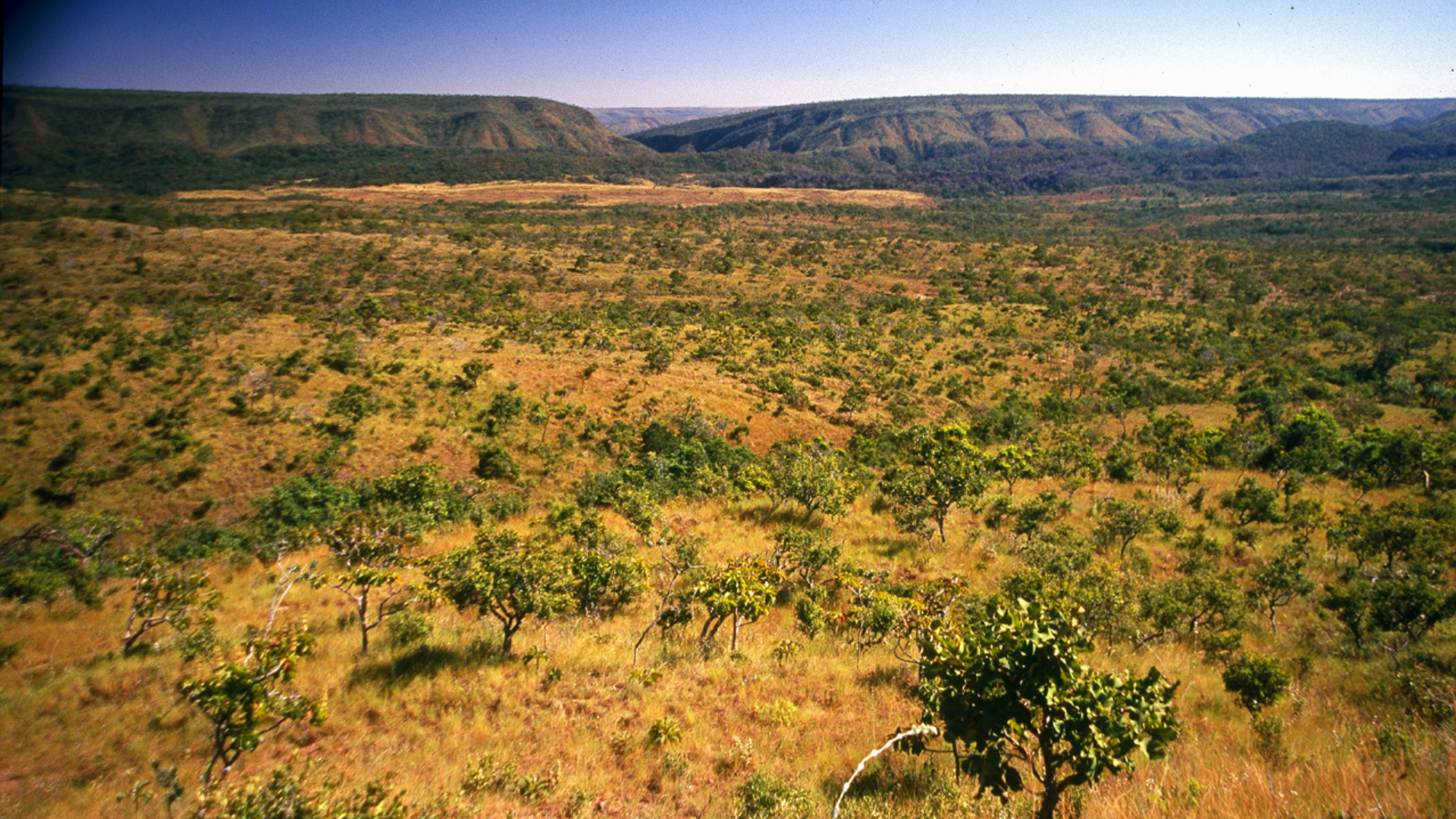 Secretaria de Meio Ambiente de Barra do Ouro lembra o Dia Nacional do Cerrado, celebrado neste sábado, 11
