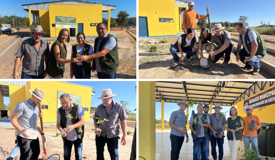 Prefeitura de Barra do Ouro promove Dia de Campo com plantio de mudas nativas no entorno do novo Mercado Municipal 